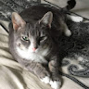 Meet your Posher, Billy